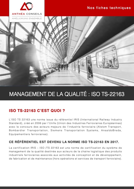 ISO TS 22163